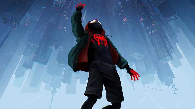 spiderman into the spider verse, 2018 movies, movies, spiderman, animated movies, hd, 4k, 5k