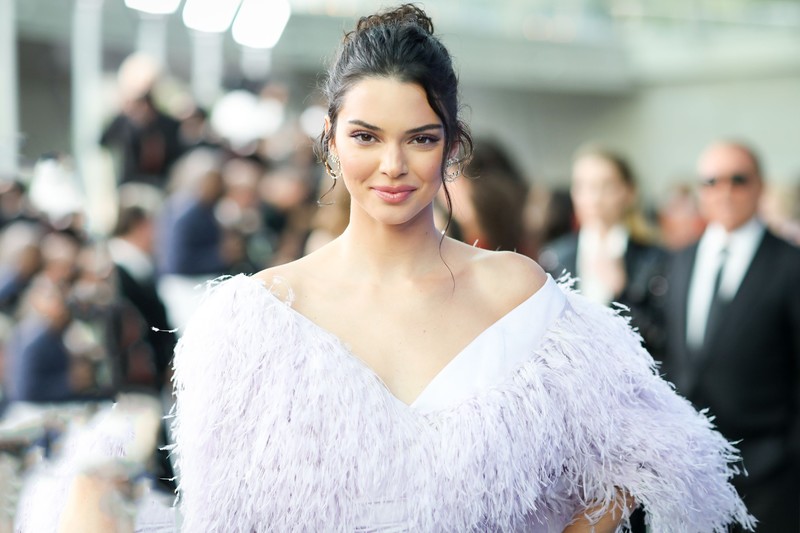 kendall jenner, celebrities, girls, model, hd, 4k
