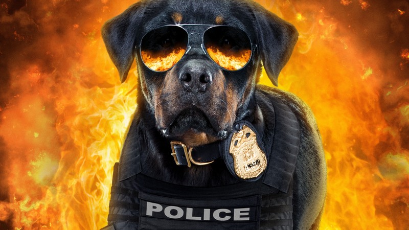show dogs, 2018 movies, movies, hd, dogs, 4k, 5k, poster
