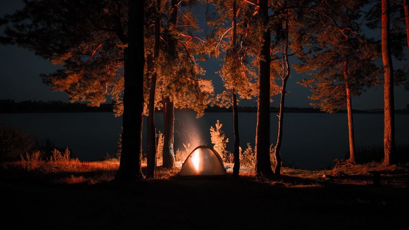 tent, campfire, camping, night, nature, 4k