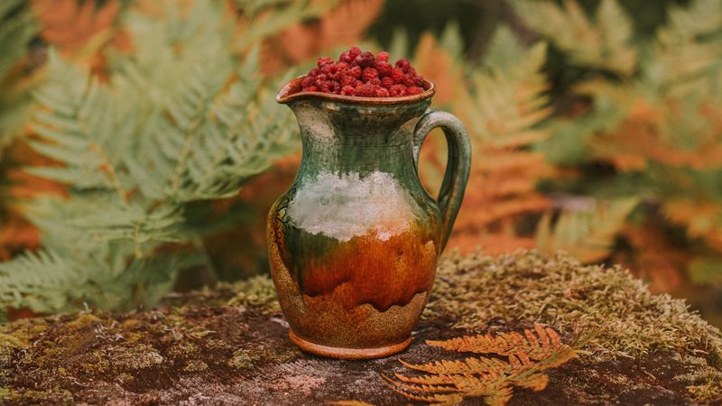 jug, raspberries, berries, nature, autumn, 4k