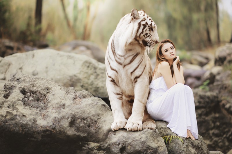 white tiger, girl, tiger, photography, hd, 4k, 5k