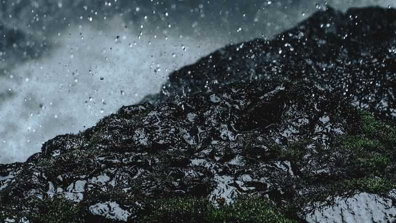 rain, drops, ground, grass, moss, 4k