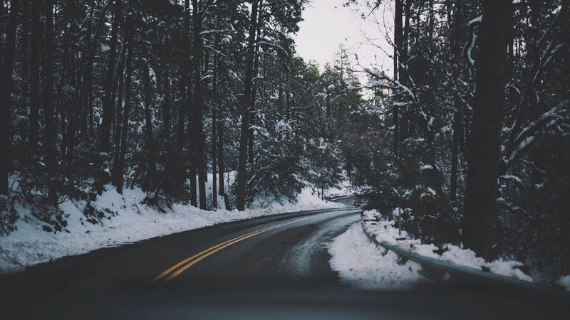 road, turn, trees, snow, asphalt, 4k