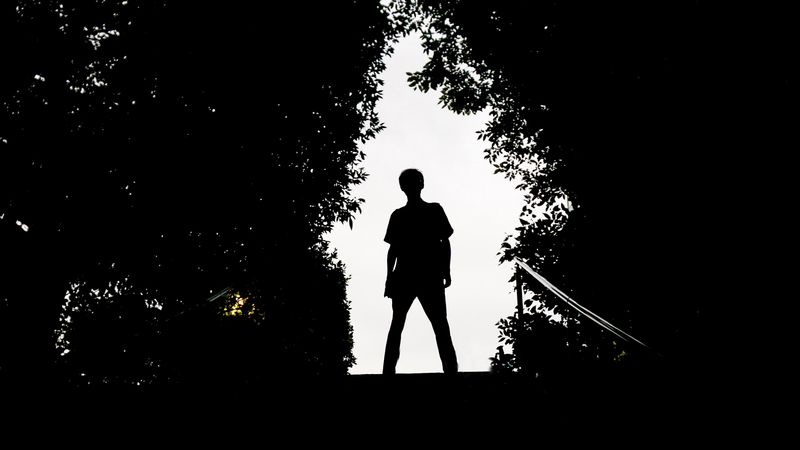 silhouette, man, dark, trees, 4k