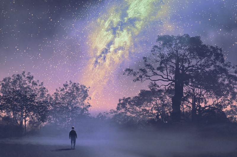 artist, artwork, digital art, hd, 4k, stars, trees, constellations