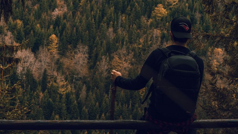 man, forest, nature, backpack, hiking, 4k