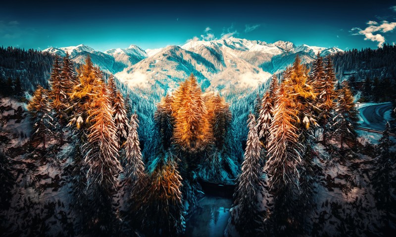 snow, landscape, mountains, trees, forest, nature, hd, 4k, 5k