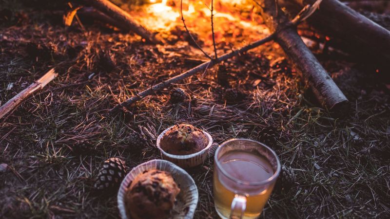 bonfire, cup, cupcakes, tea, nature, 4k