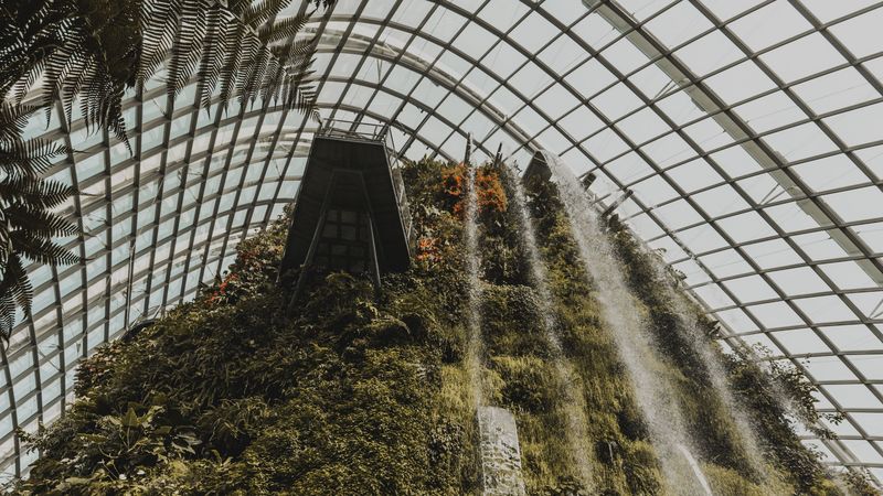 greenhouse, plants, waterfall, construction, 4k