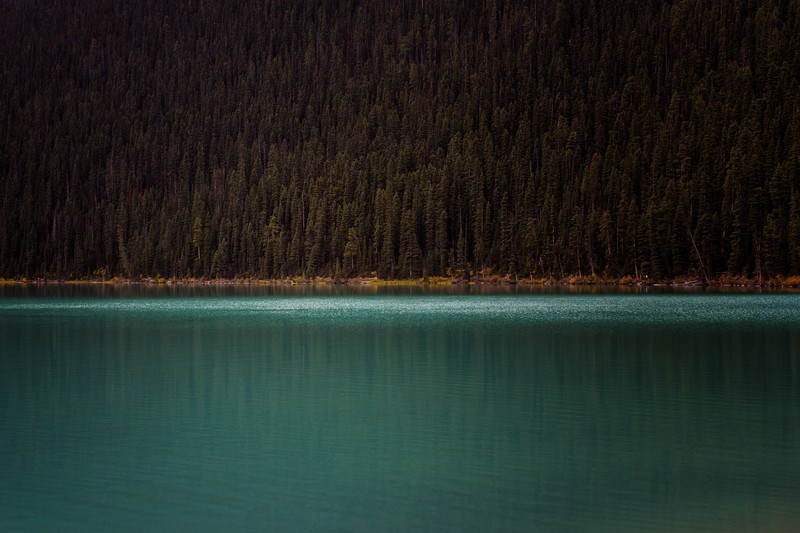 mountains, trees, nature, hd, lake, 4k, landscape