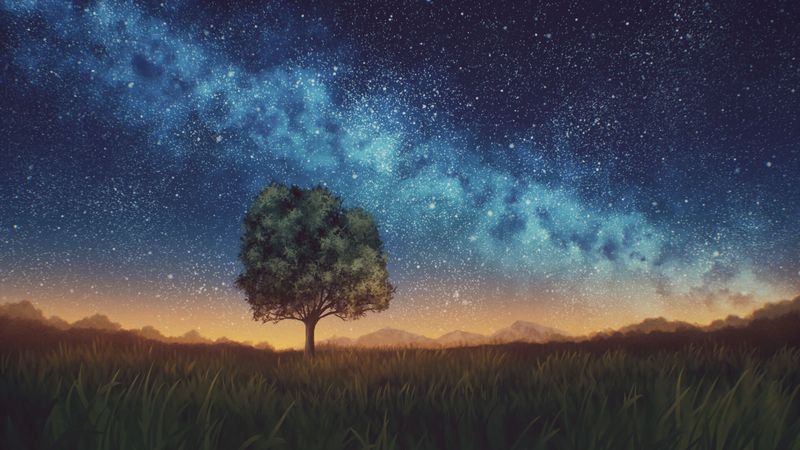 lawn, tree, night, starry sky, dark, 4k