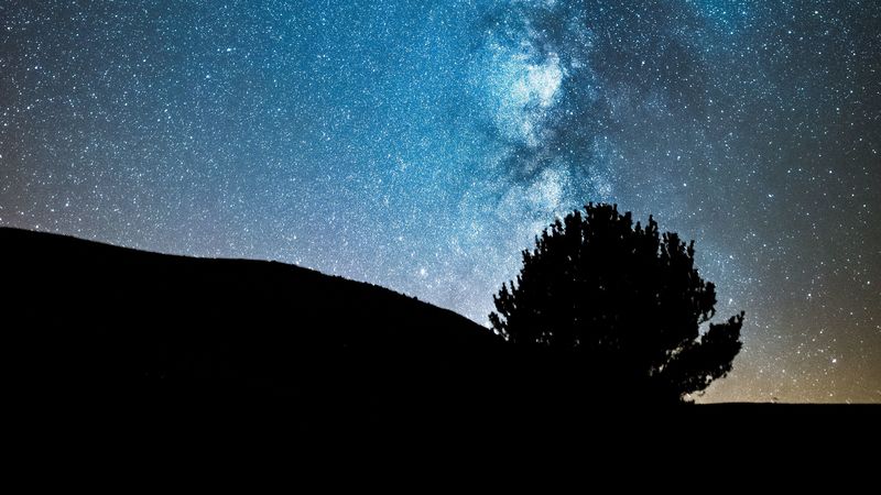 night, tree, starry sky, dark, milky way, stars, 4k