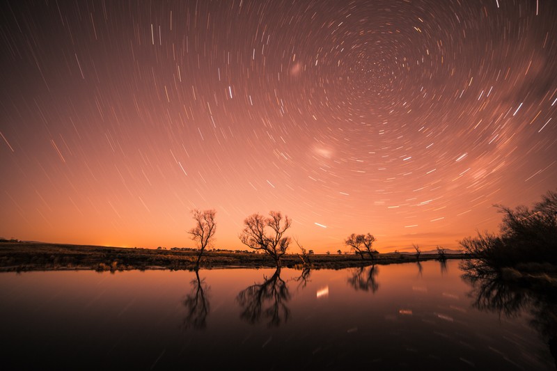 star trail, long exposure, trees, nature, hd, 4k, 5k, photography, creative