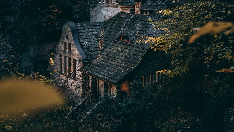 house, trees, bushes, forest, 4k