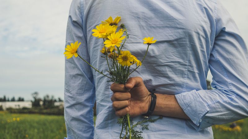 flowers, yellow, bouquet, hand, back, 4k