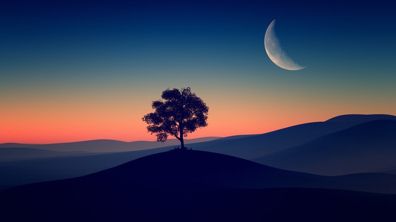 nature, hd, 4k, deviantart, evening