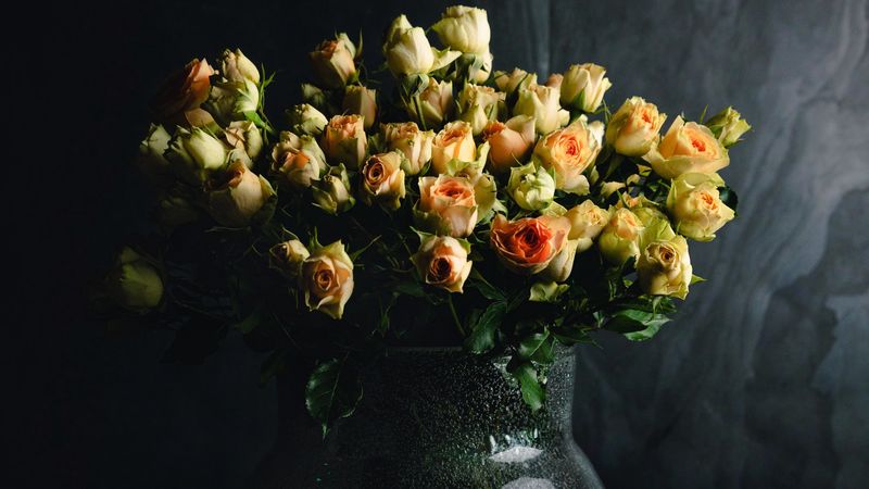 roses, flowers, bouquet, vase, dark, 4k