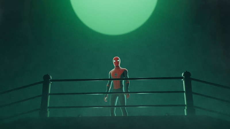 spiderman, superheroes, artist, artwork, digital art, hd, 4k