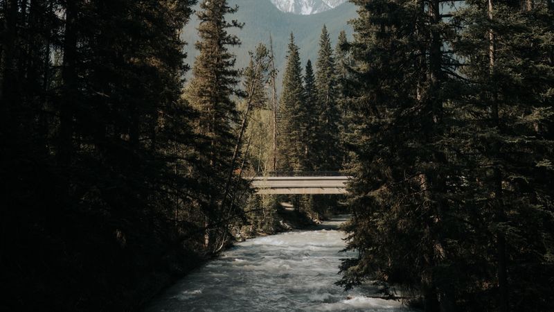 river, trees, bridge, mountains, nature, 4k