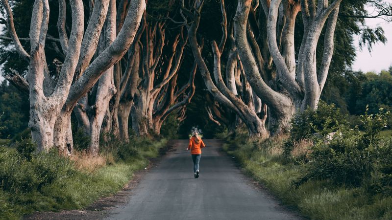trees, path, person, running, alley, 4k