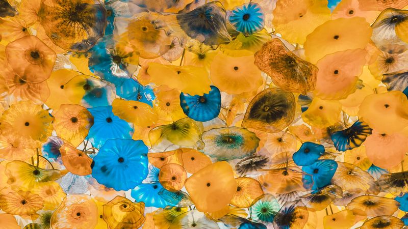 jellyfish, colorful, sea, depth, underwater, 4k