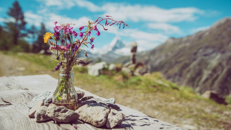 flowers, bouquet, vase, stones, nature, 4k