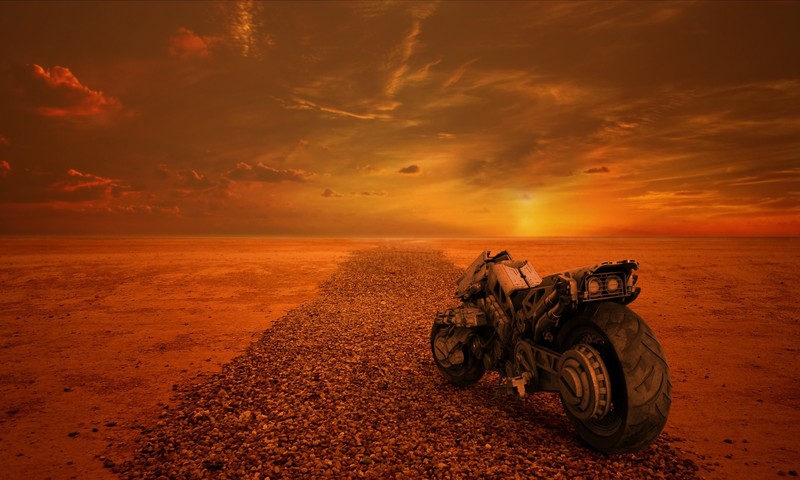 apocalypse, artist, artwork, digital art, hd, 4k, sunset, scifi