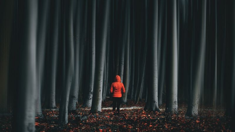forest, trees, man, illusion, blur, 4k