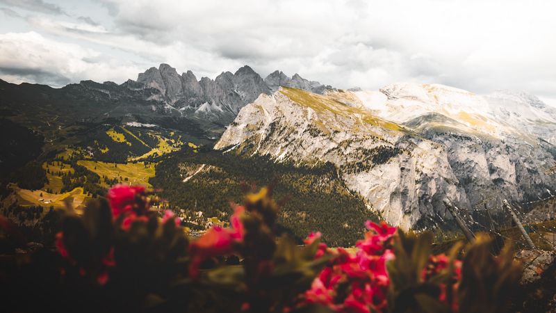 mountains, flowers, clouds, peaks, height, 4k