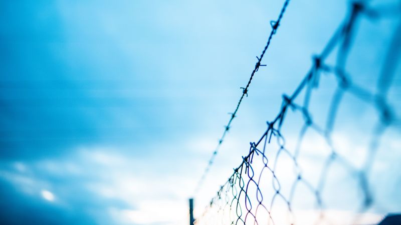 mesh, barbed wire, fence, fencing, barbed, 4k