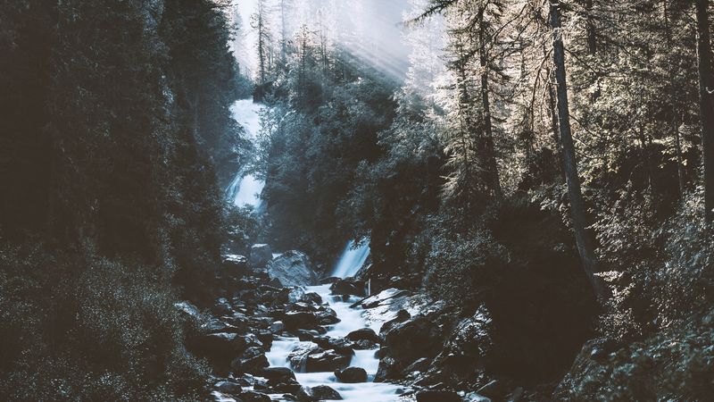 river, forest, mountains, sunlight, landscape, morning, 4k
