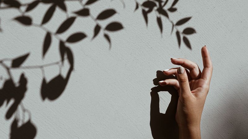 hand, branch, shadow, wall, 4k