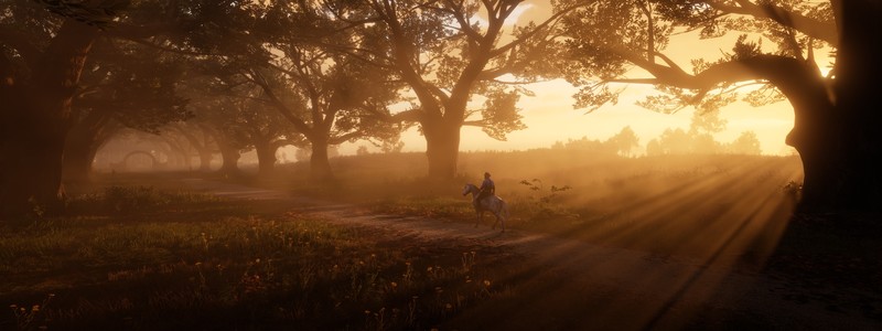 red dead redemption 2, 4k, 2020 games, games, hd, xbox games, 5k