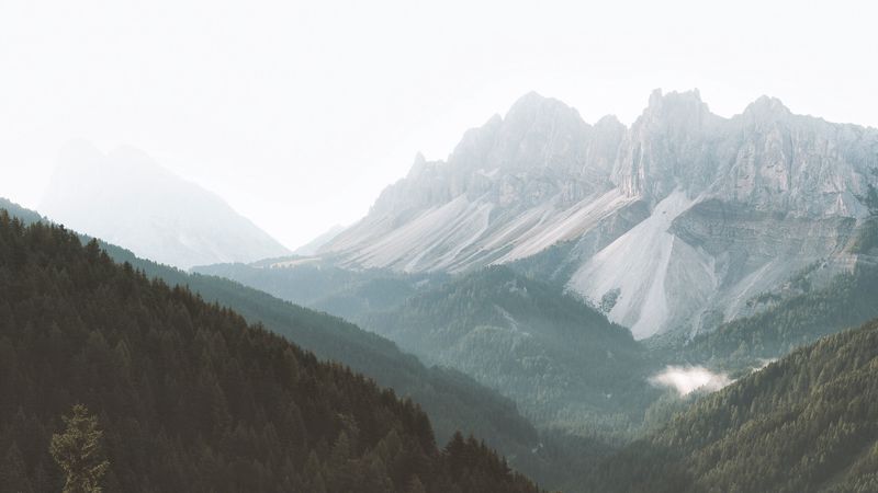 mountains, forest, fog, slopes, trees, 4k