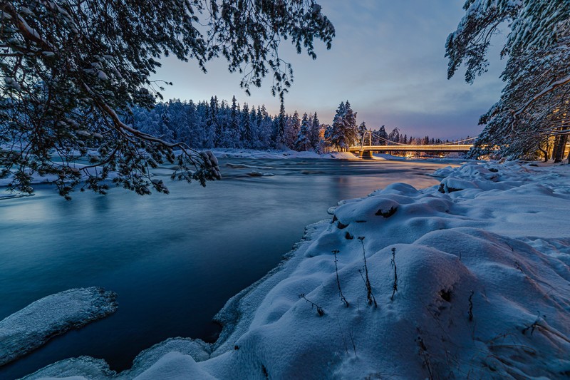 snow, winter, nature, hd, 4k
