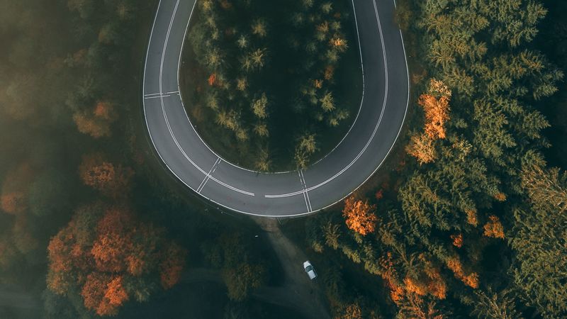 road, forest, aerial view, winding, turn, 4k