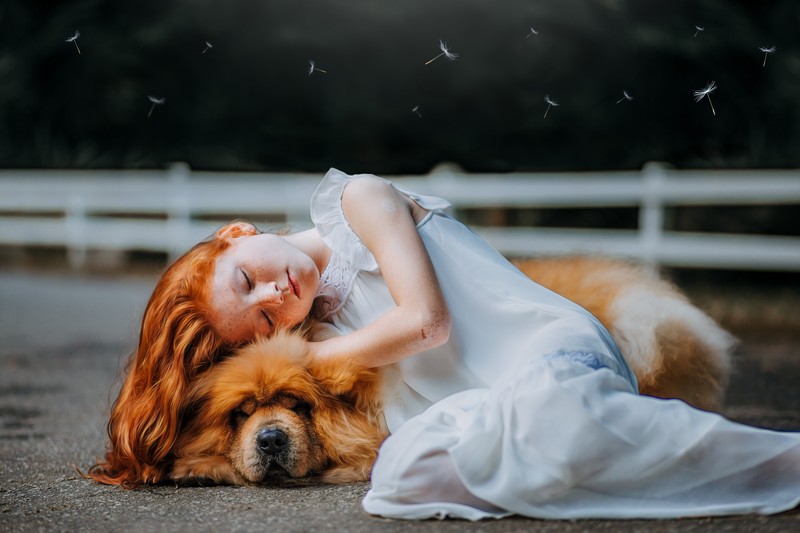 little girl, dog, sleeping, hd, 4k, 5k