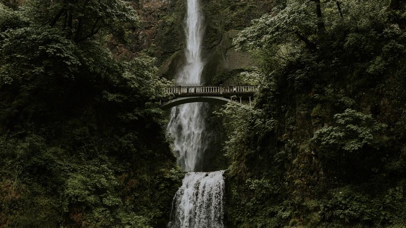 waterfall, cliff, bridge, trees, water, 4k