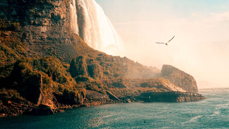 waterfall, sea, rocks, birds, coast, 4k