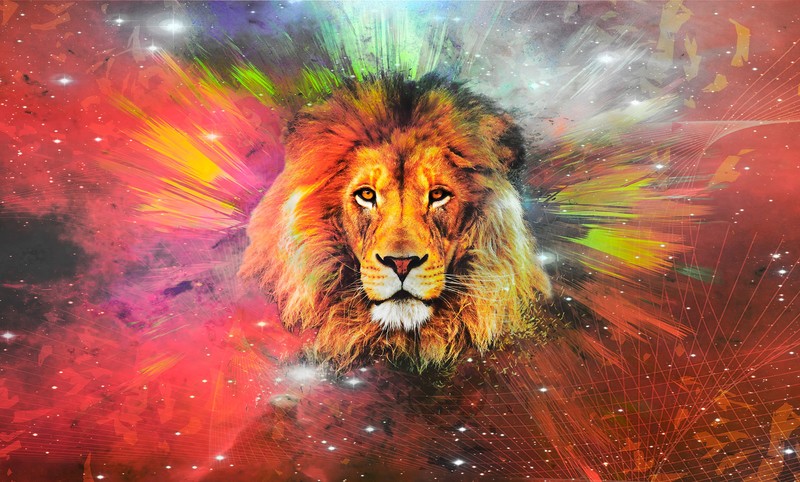 lion, artist, artwork, digital art, hd, 4k