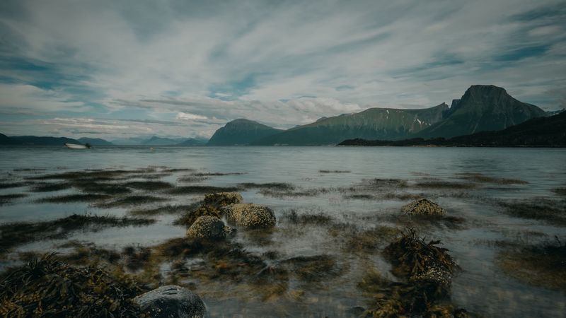 lake, mountains, shore, stones, seaweed, 4k