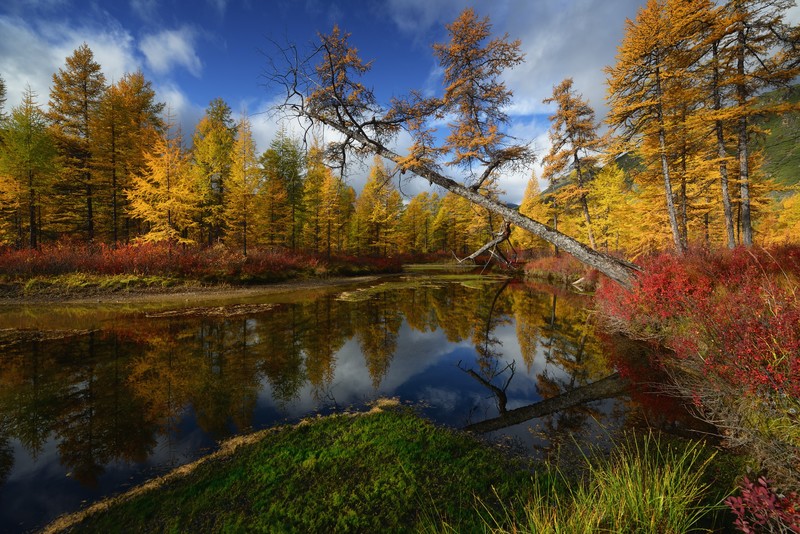 landscape, nature, sky, clouds, water, river, reflection, forest, trees, fall, log, shore, Maxim Evdokimov