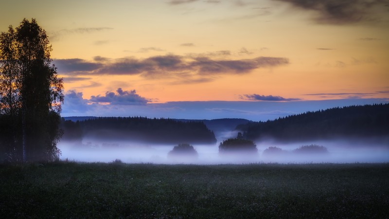 nature, sunlight, landscape, sky, mist