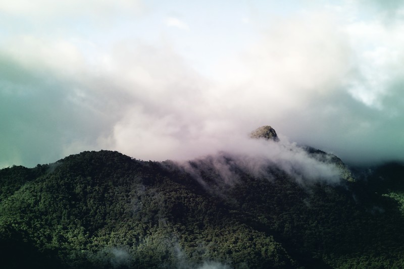 mountains, trees, forest, clouds, sky