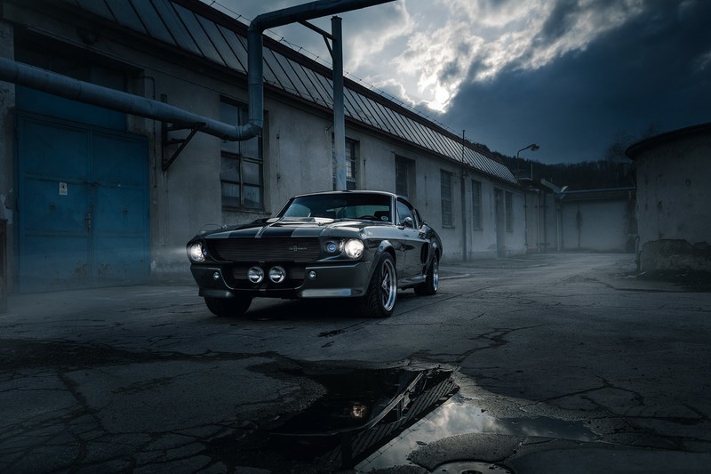 car, vehicle, Shelby