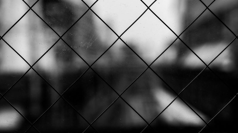 mesh, cells, bw, blur, 4k