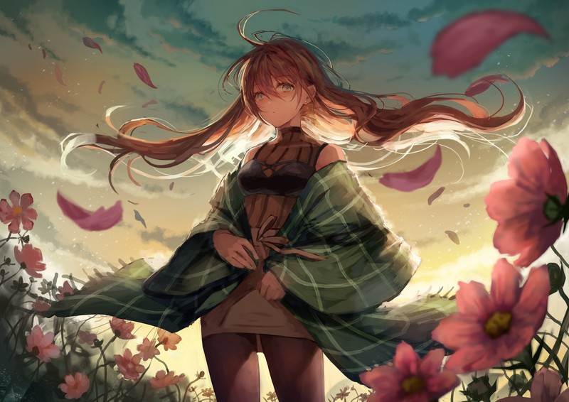 anime girls, long hair, flowers, sky