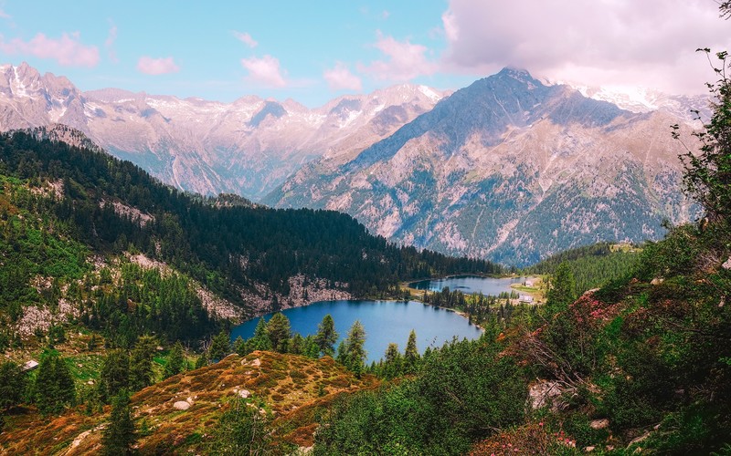 nature, forest, trees, landscape, water, lake, mountains