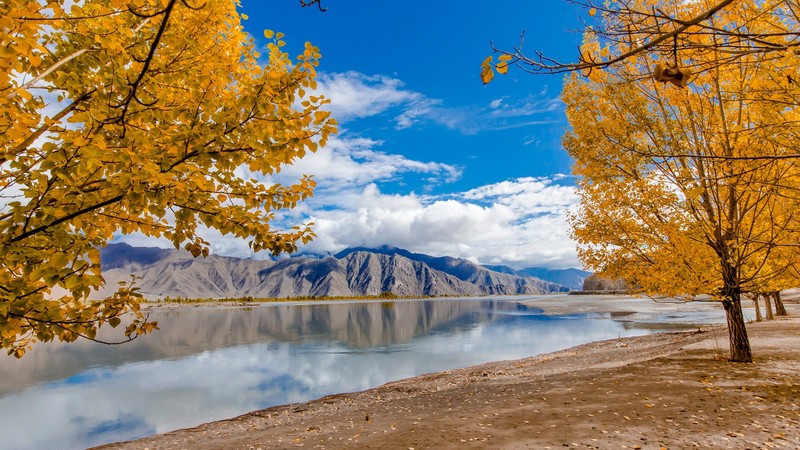 trees, clouds, reflection, mountains, 500px, nature, fall
